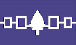 Iroquois Flag