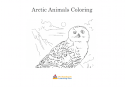Arctic Animals Coloring