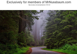 California Activity Bundle