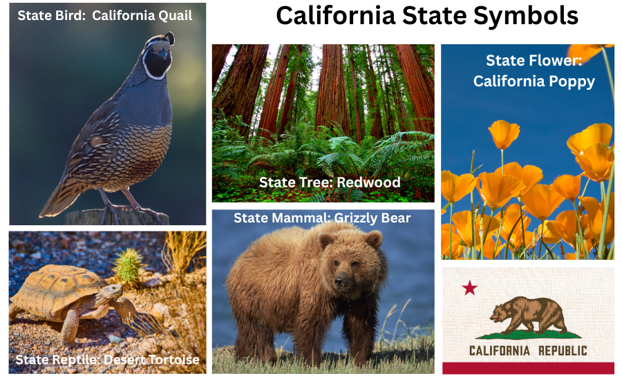 California Symbols