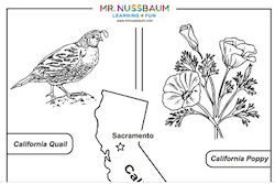 California Symbols Coloring