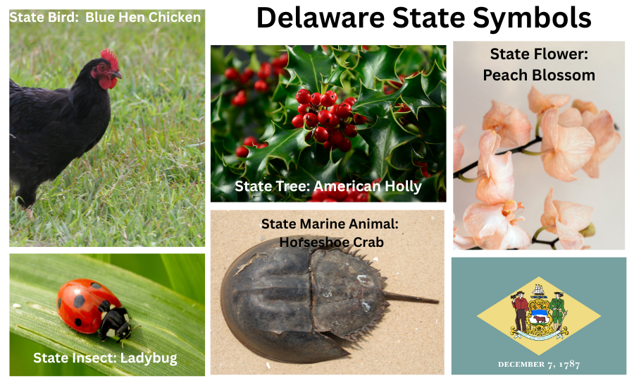 Maryland Symbols