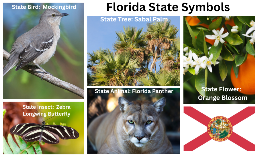 Florida Symbols