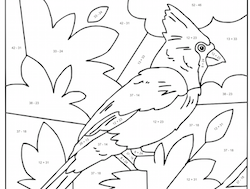 Cardinal Mosaic Math