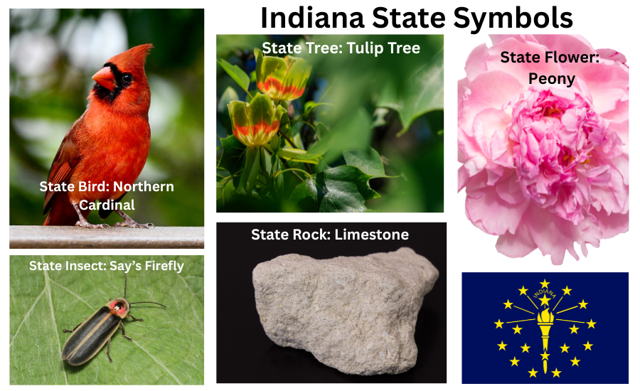 Indiana Symbols