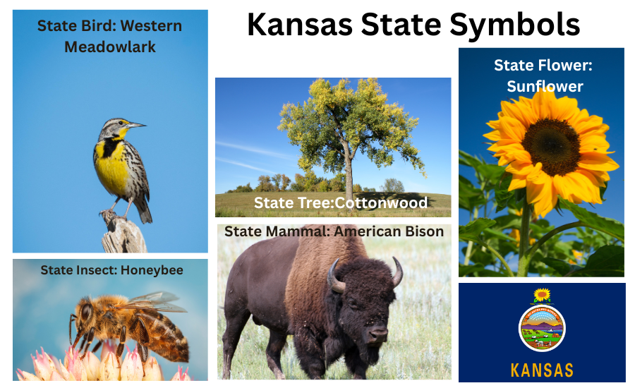 Kansas Symbols