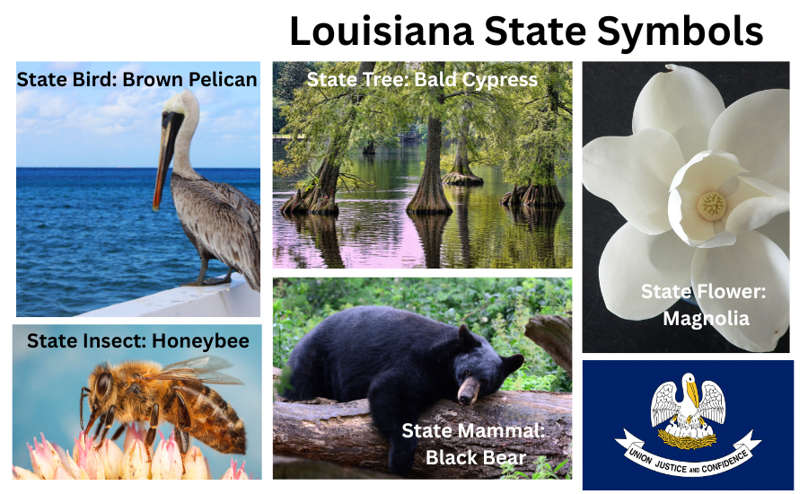 Louisiana Symbols