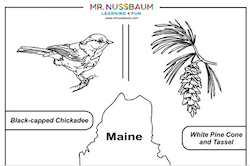 Maine Symbols Coloring
