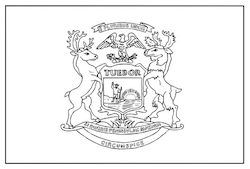 Michigan Flag