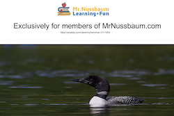 Minnesota Activity Bundle