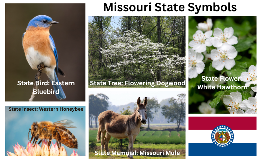 Missouri Symbols