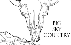 Montana State Quarter