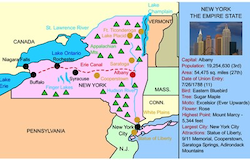 New York Activity Bundle