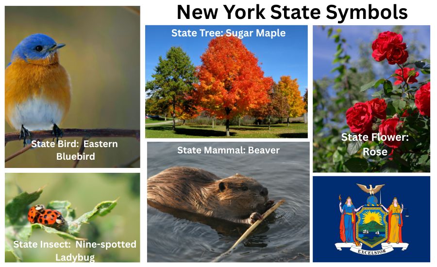 New York Symbols