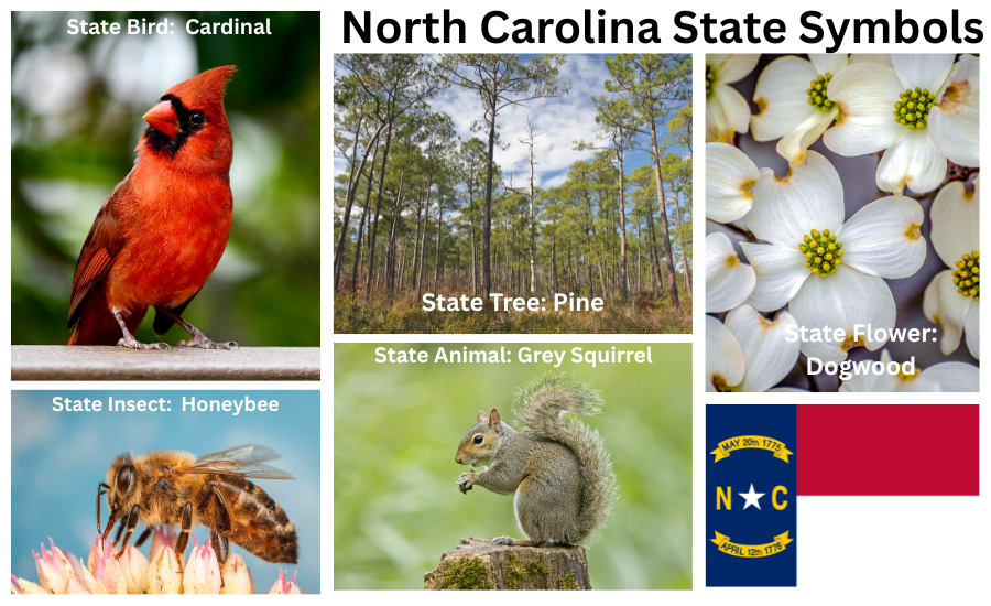 North Carolina Symbols