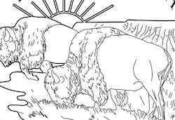 North Dakota State Quarter