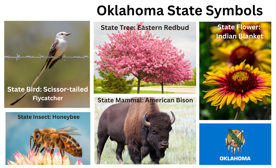 Oklahoma Symbols