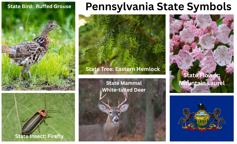 Pennsylvania Symbols