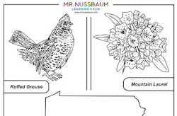 Pennsylvania Symbols Coloring