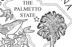 South Carolina State Quarter Coloring