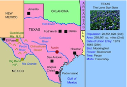 Texas Interactive Map