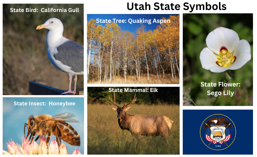 Utah Symbols