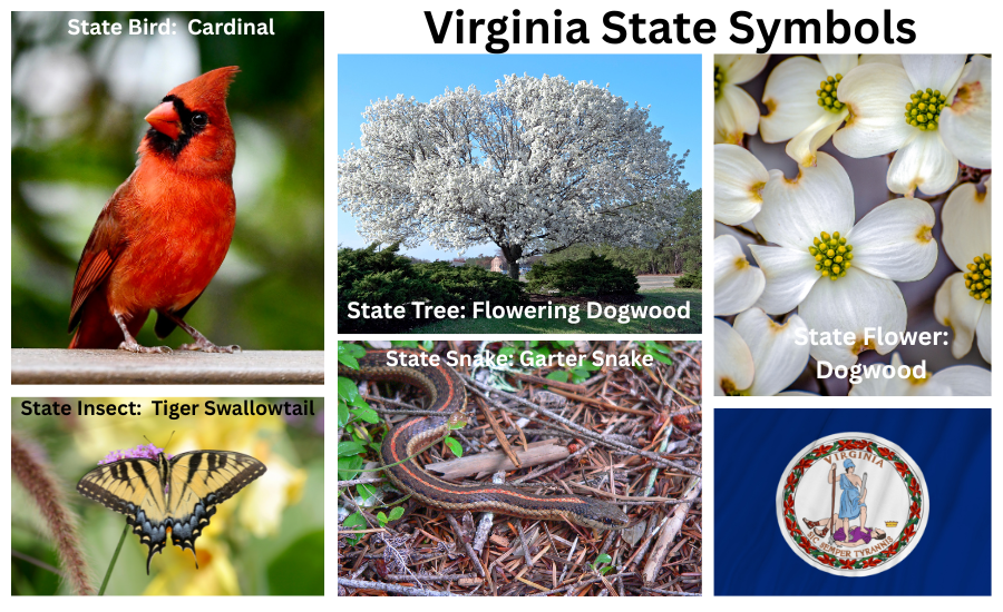 Virginia Symbols