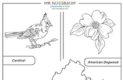Virginia Symbols Coloring