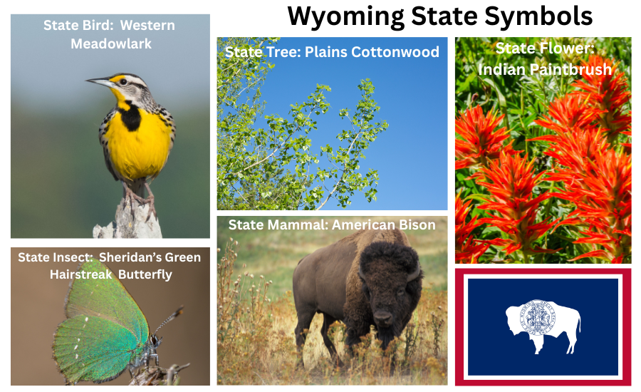 Wyoming Symbols