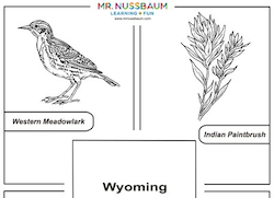 Wyoming Symbols Coloring